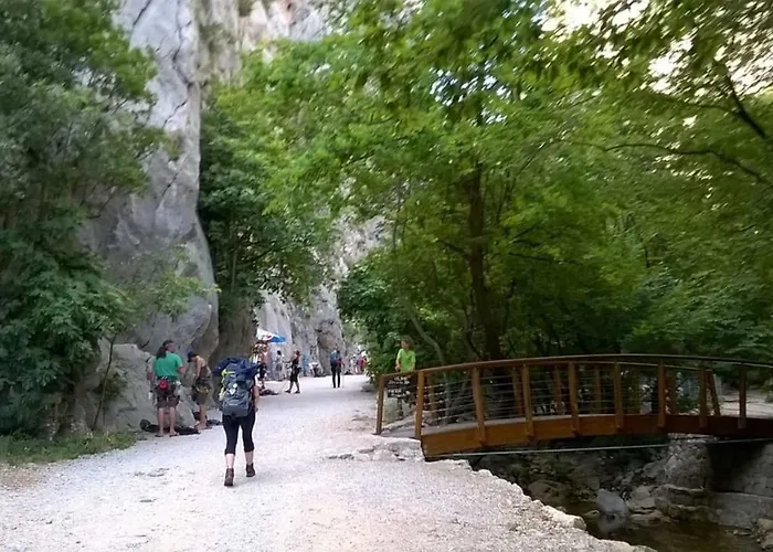 公寓 Merion 斯塔利格拉德-帕克利尼卡